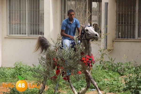 torath days 0304 (82).JPG